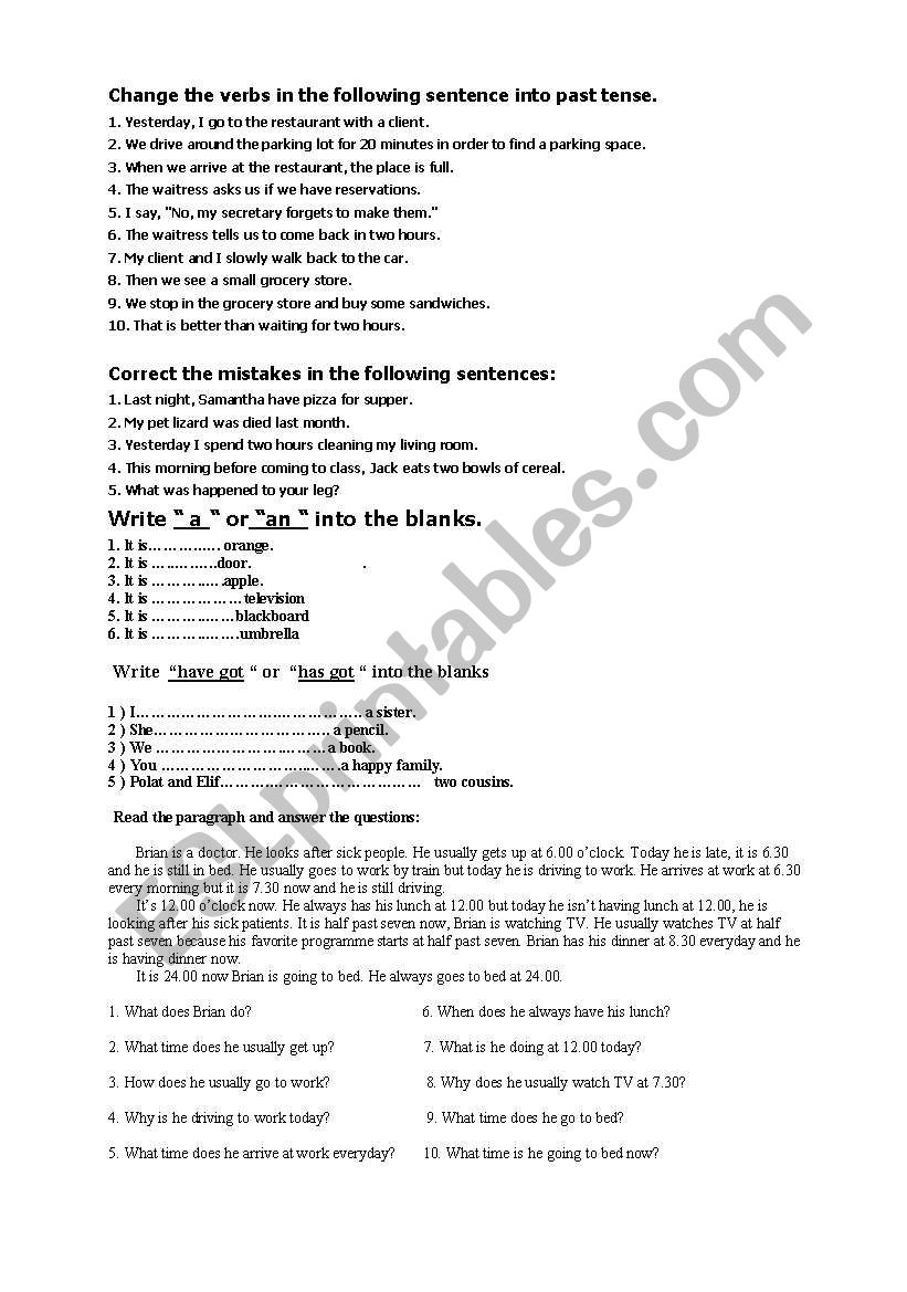 exercises worksheet