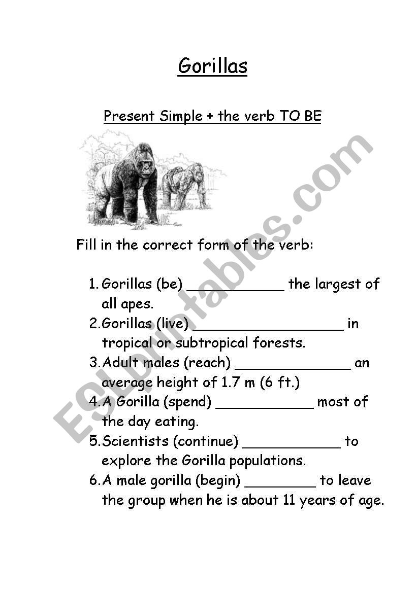 Gorillas - Present Simple + the verb To Be 