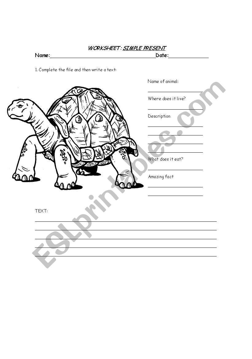 Animal worksheets : Simple Present and description