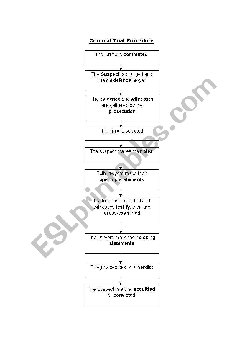 Criminal Trial Procedure worksheet