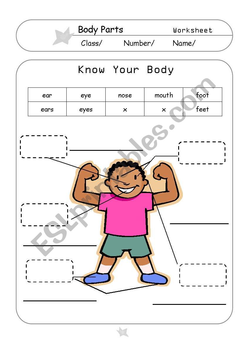 Know Your Body worksheet
