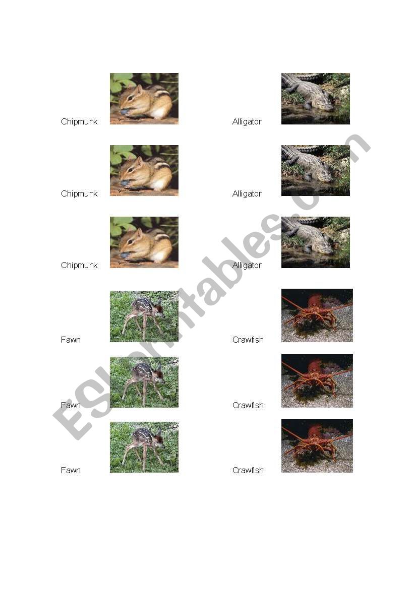 Animal Memory worksheet