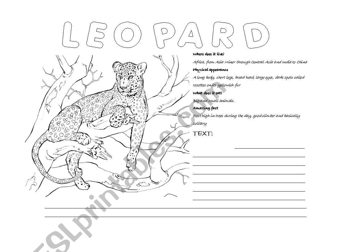 Animal worksheets worksheet