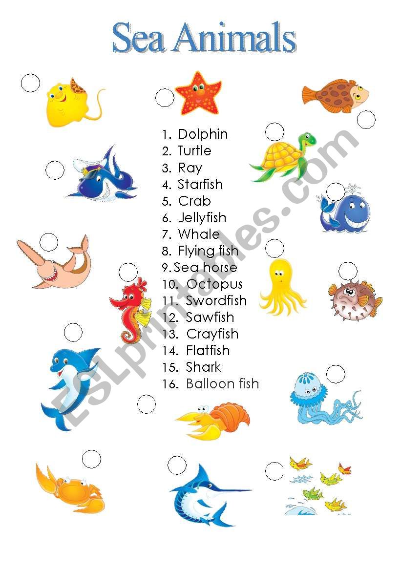 Sea animals  worksheet