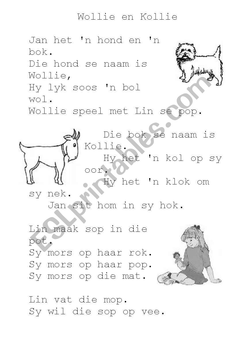 Afrikaans Leesbegrip  :  Wollie en Kollie