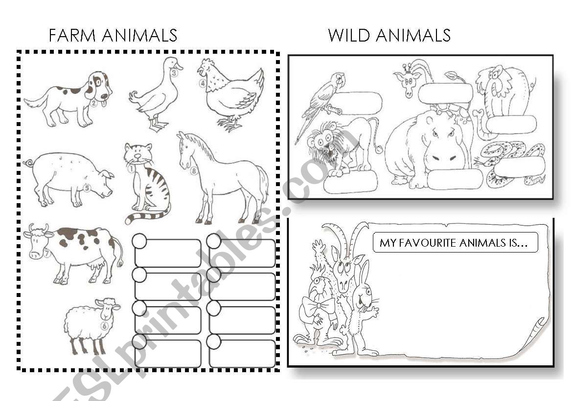 ANIMALS worksheet