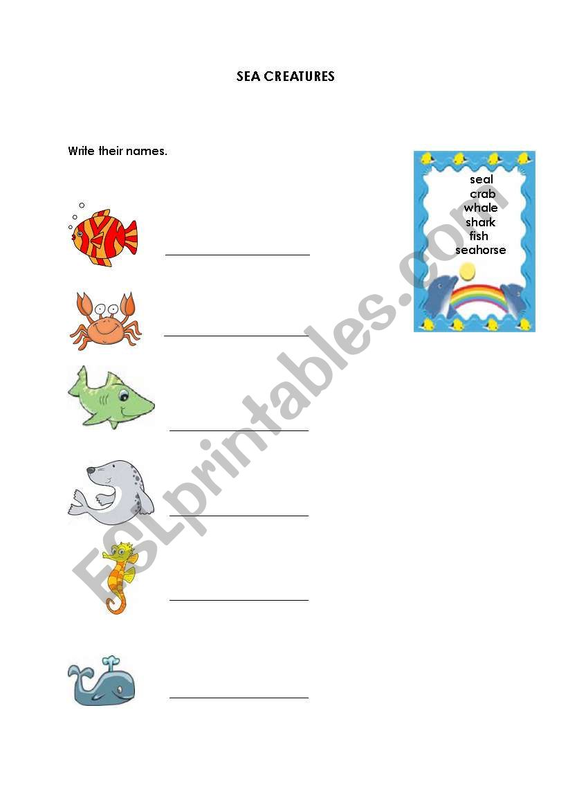 Sea Creatures worksheet