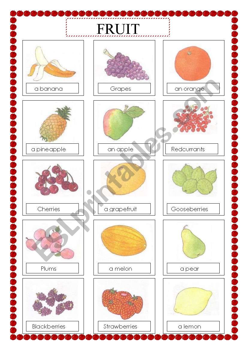voc list: fruit worksheet