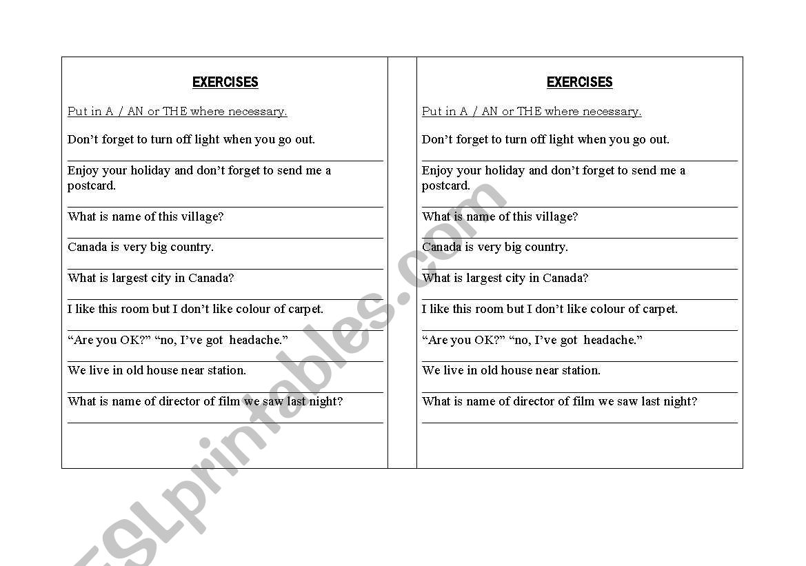 A / AN / THE worksheet