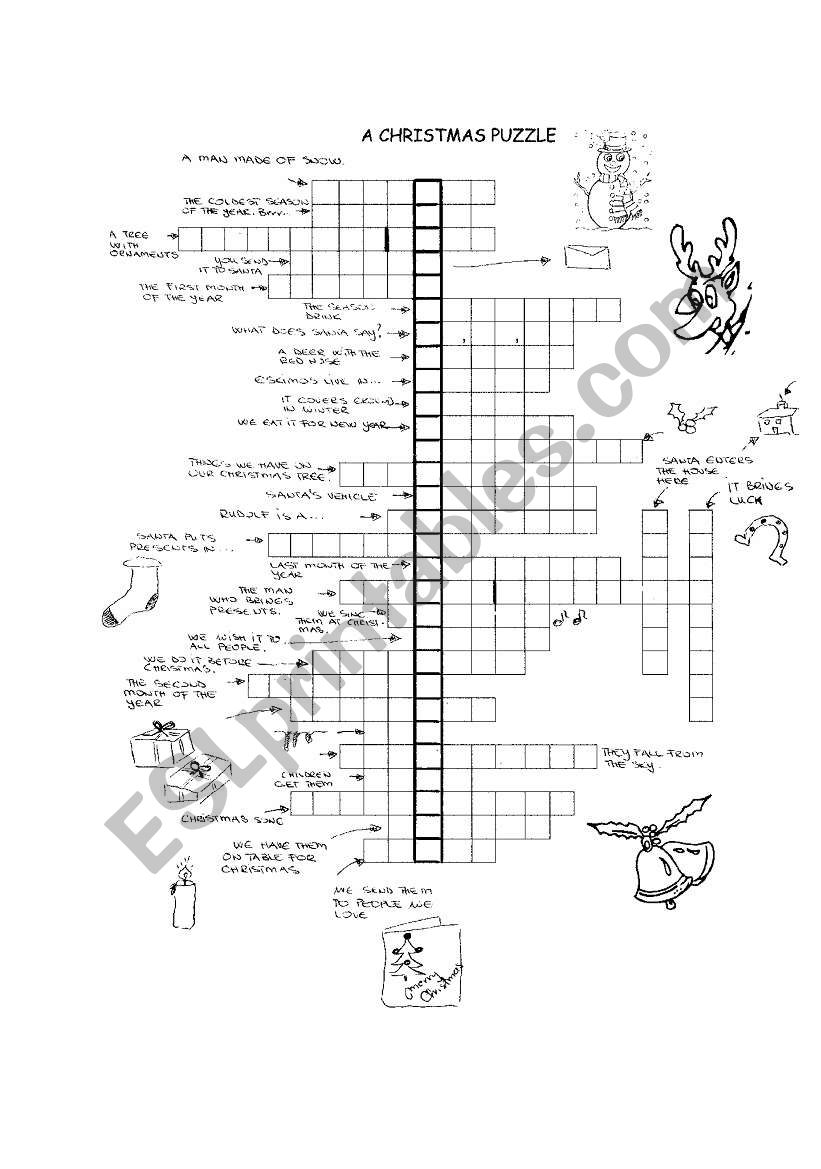 CHRISTMAS FUN worksheet