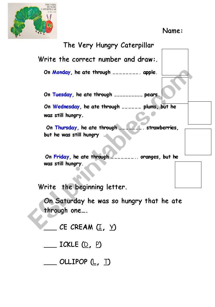 The very hungry caterpillar  activity