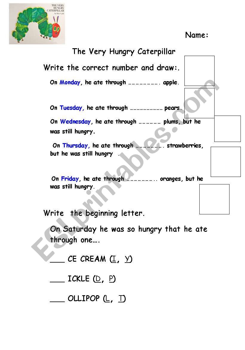 The very hungry caterpillar  activity