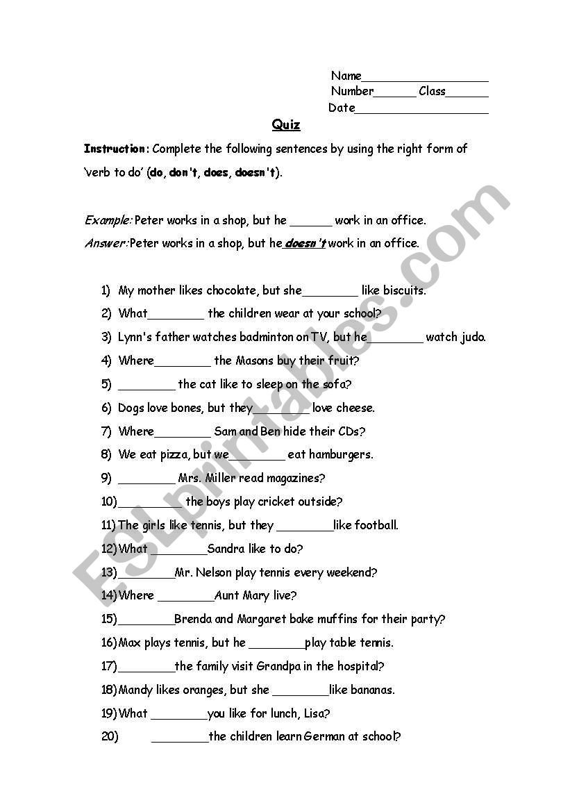 verb to do worksheet