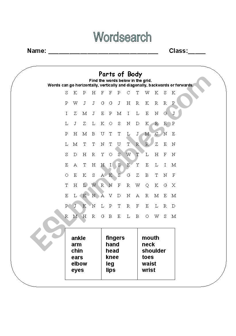 parts of the body worksheet