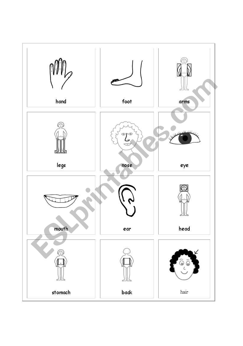 body parts worksheet