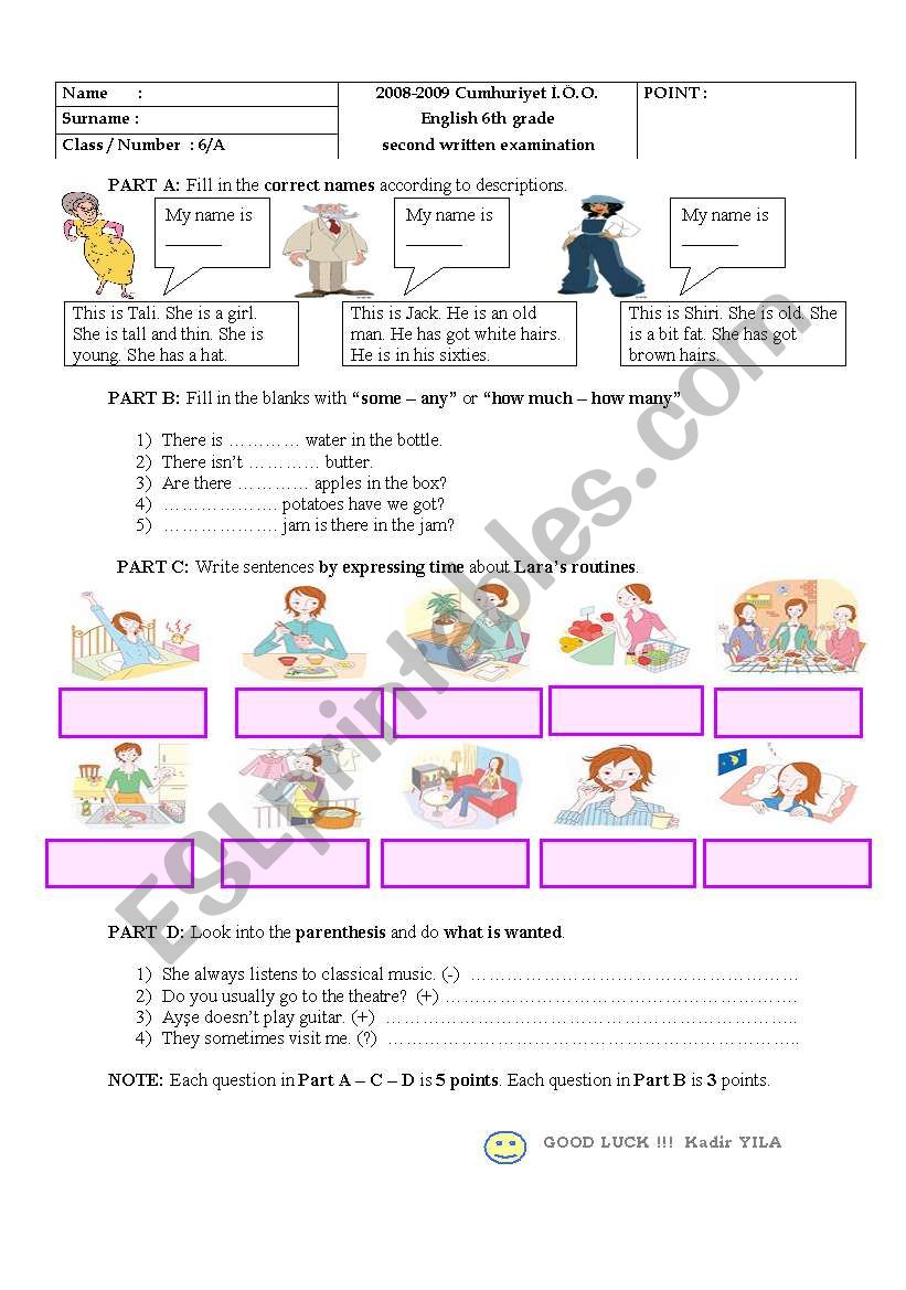 6th graders examination  worksheet