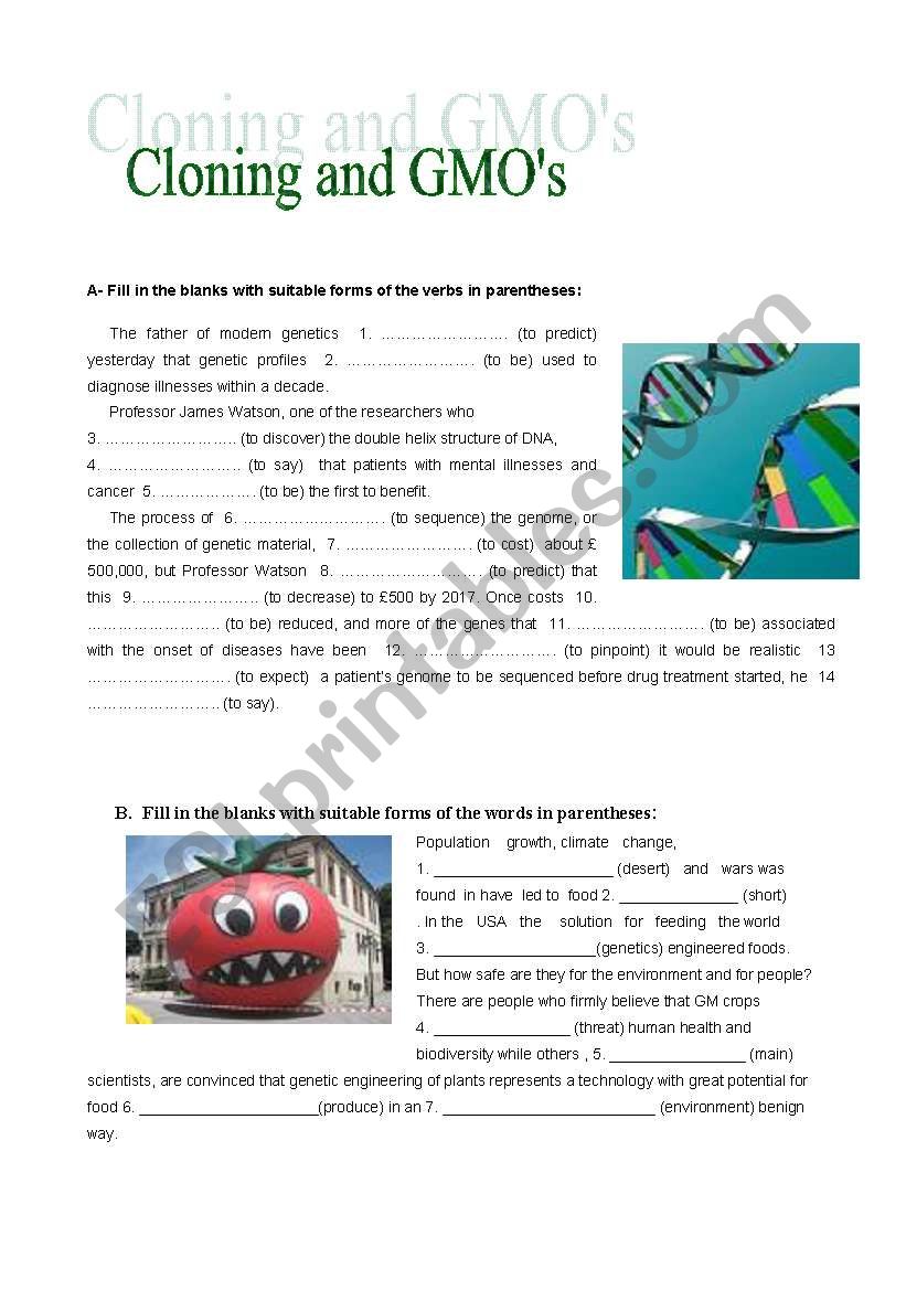 Cloning and GMOs worksheet