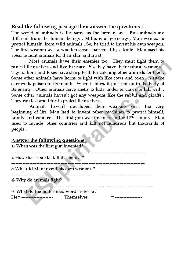 Animals worksheet