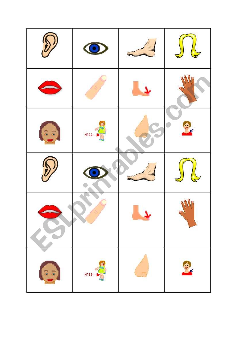 body parts MEMO worksheet