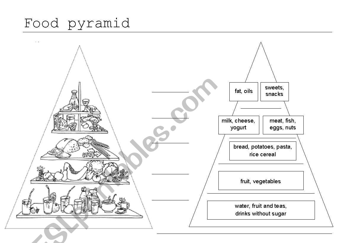 Food pyramid worksheet