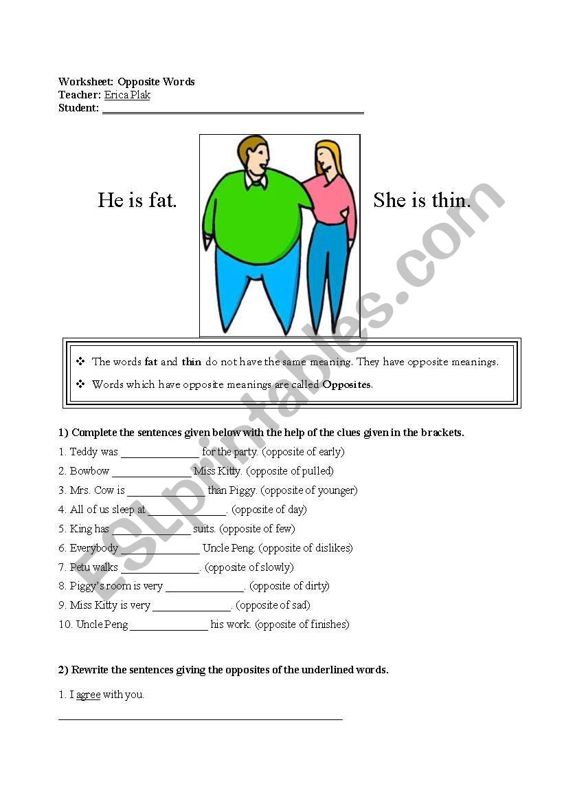 Opposites worksheet