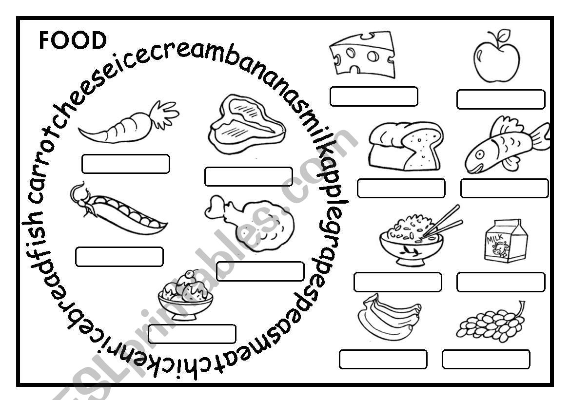 FOOD CIRCLE worksheet