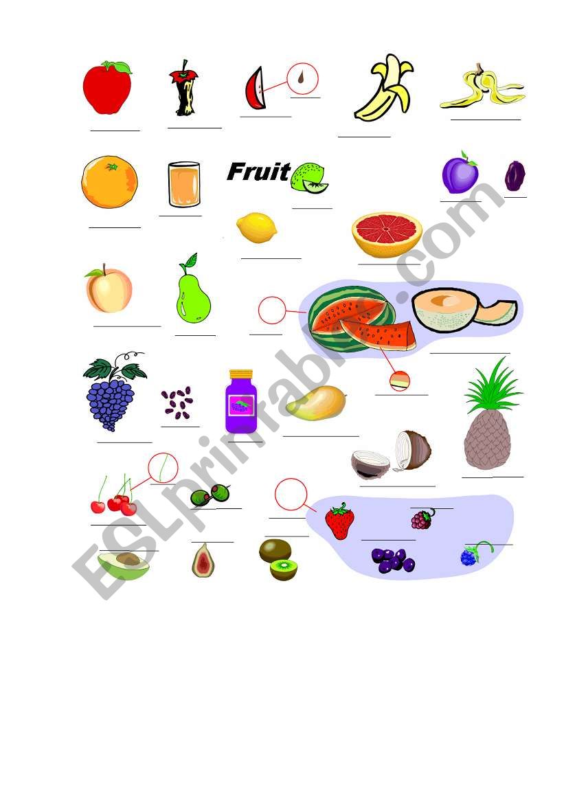 fruit worksheet