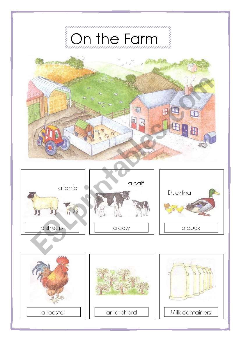 on the farm vocabulary (2sheets)