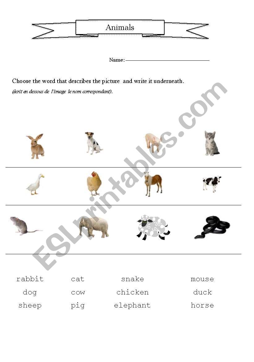 Animal Names matching exercise