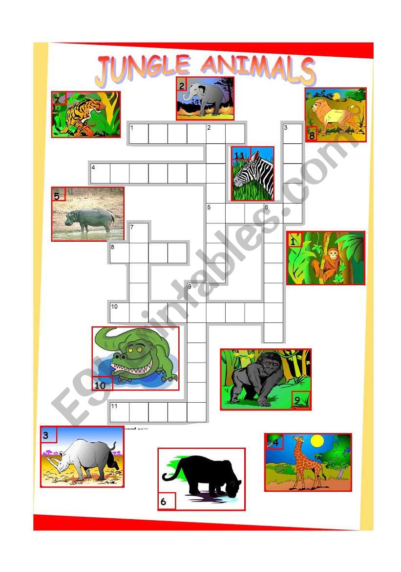 jungle animals worksheet