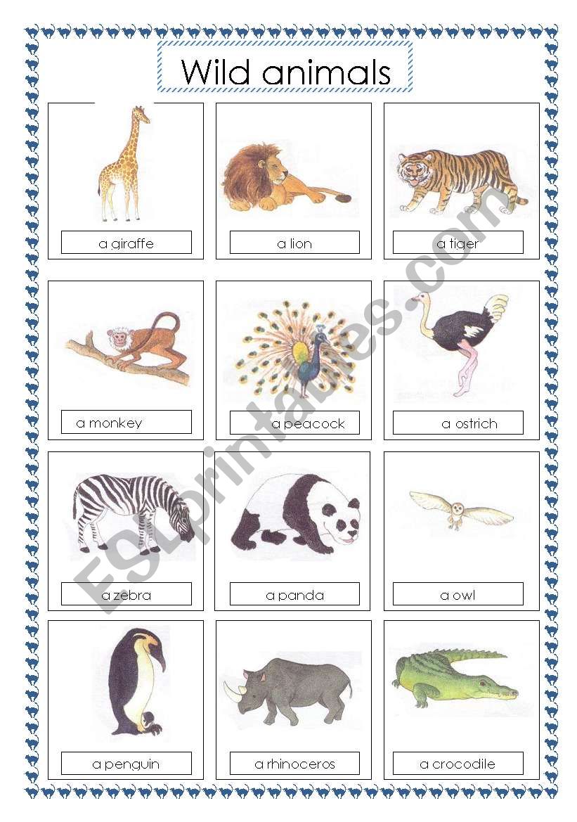 voc wild animals (1) worksheet