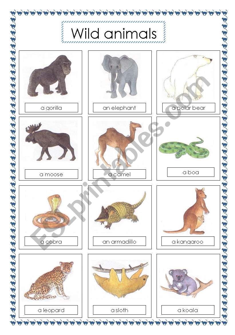 voc wild animals (2) worksheet