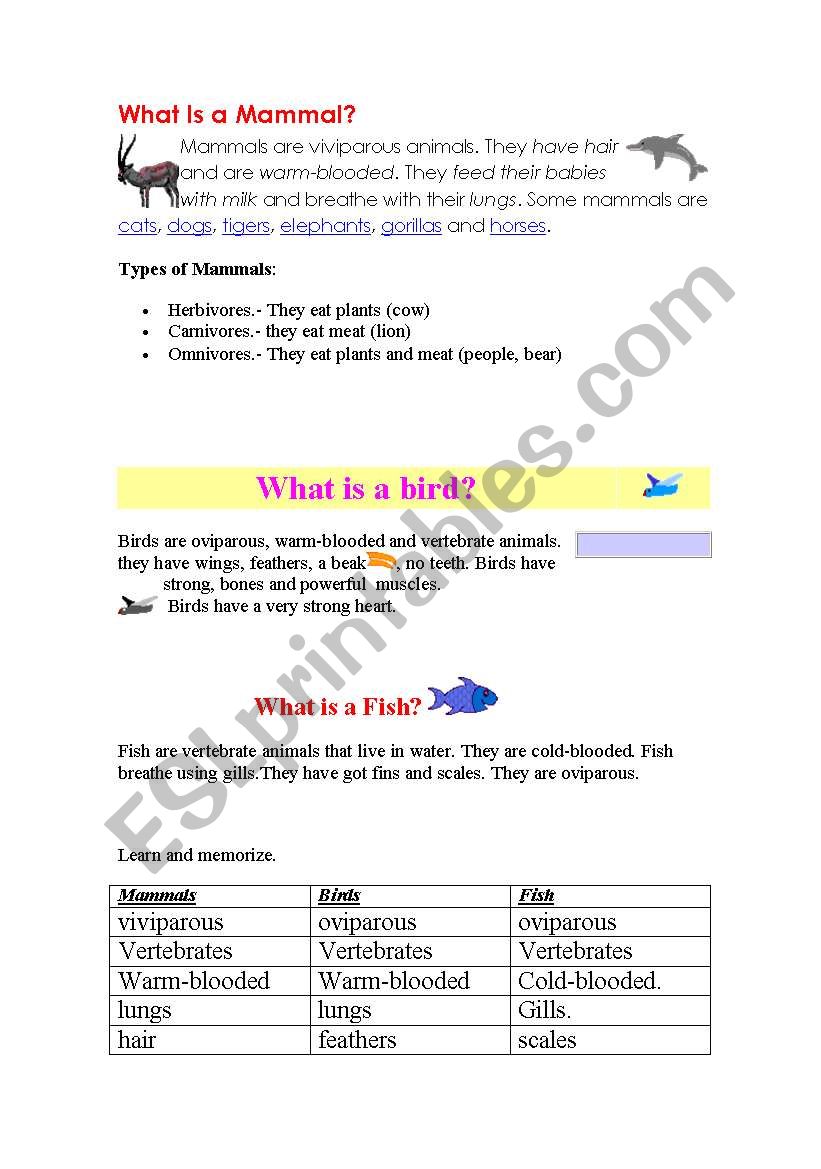 mammals, birds, fish worksheet