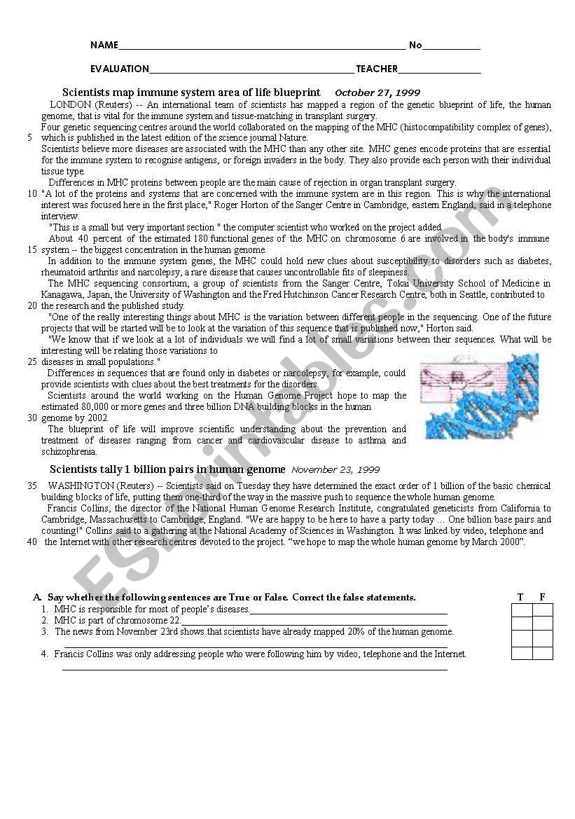 English test worksheet