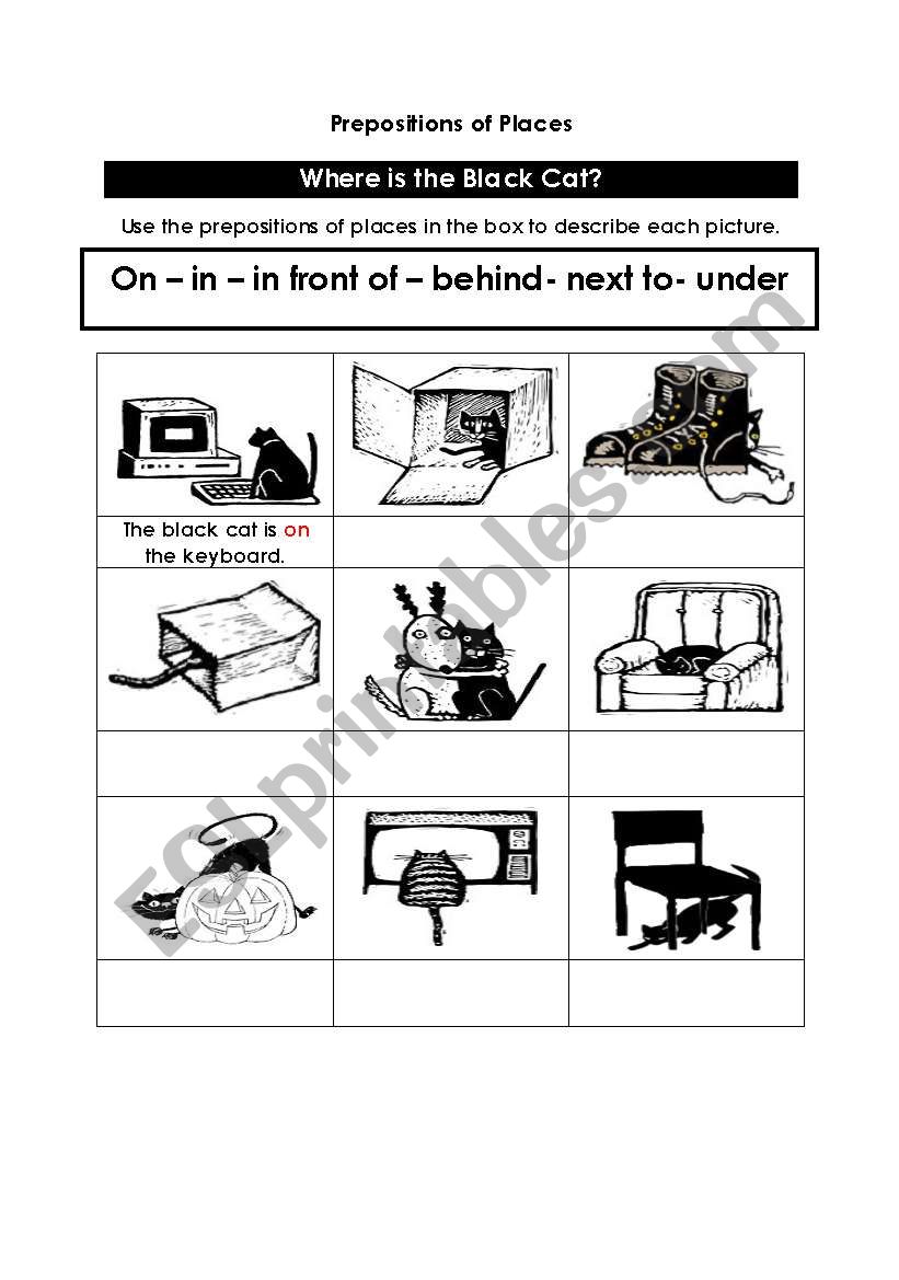 Where is the Black Cat? worksheet