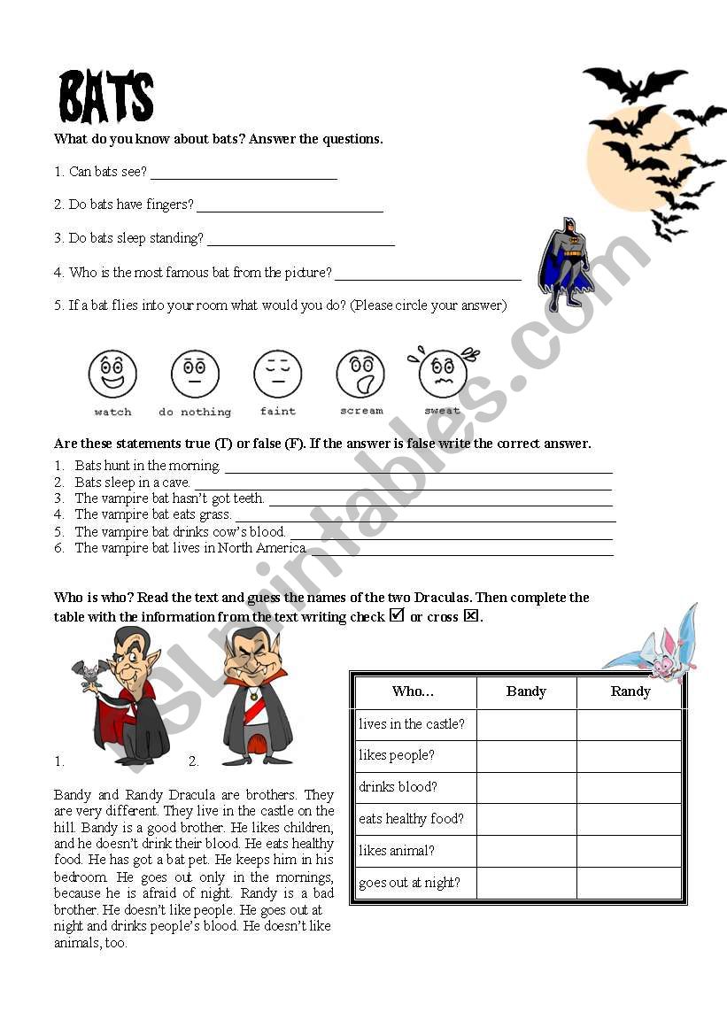 Bats worksheet