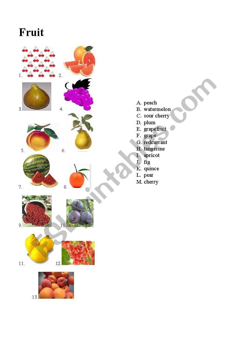 Fruit worksheet