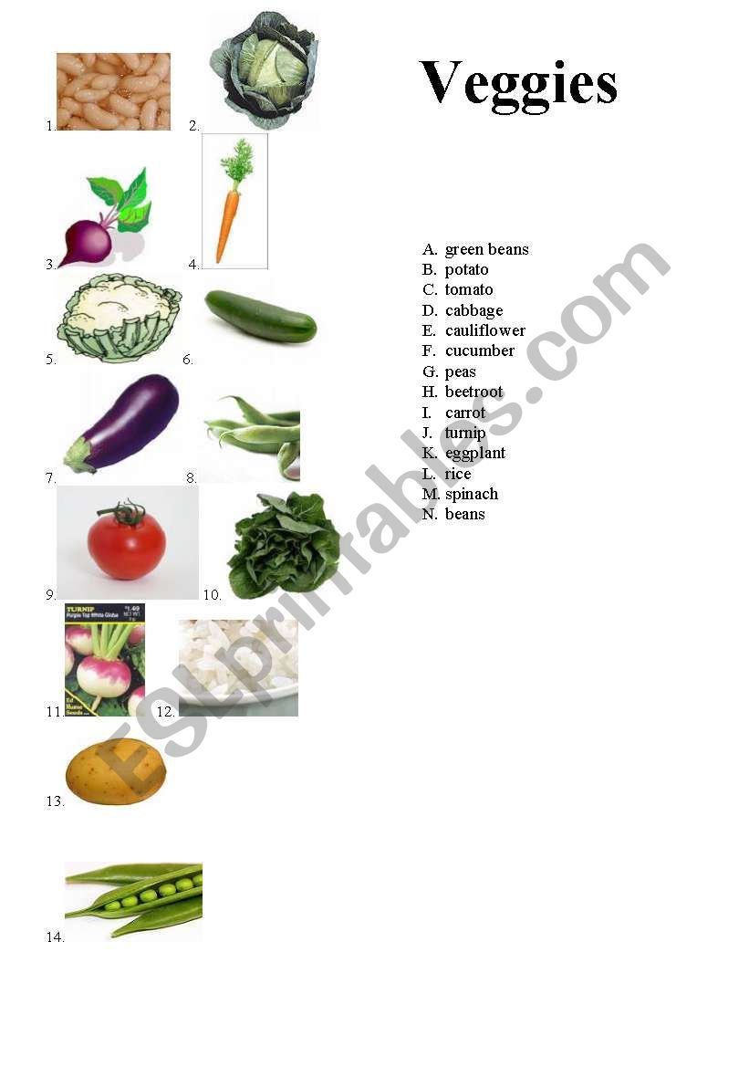 Vegetables worksheet