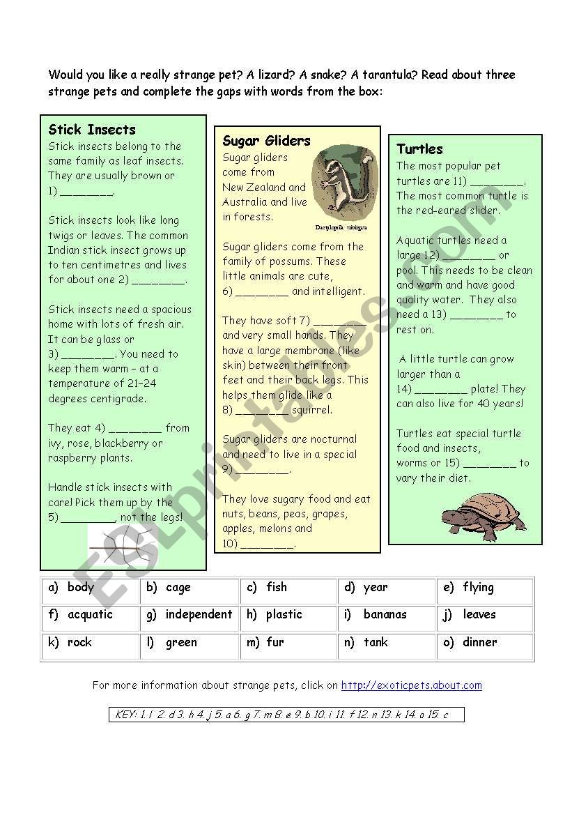 Strange Pets worksheet