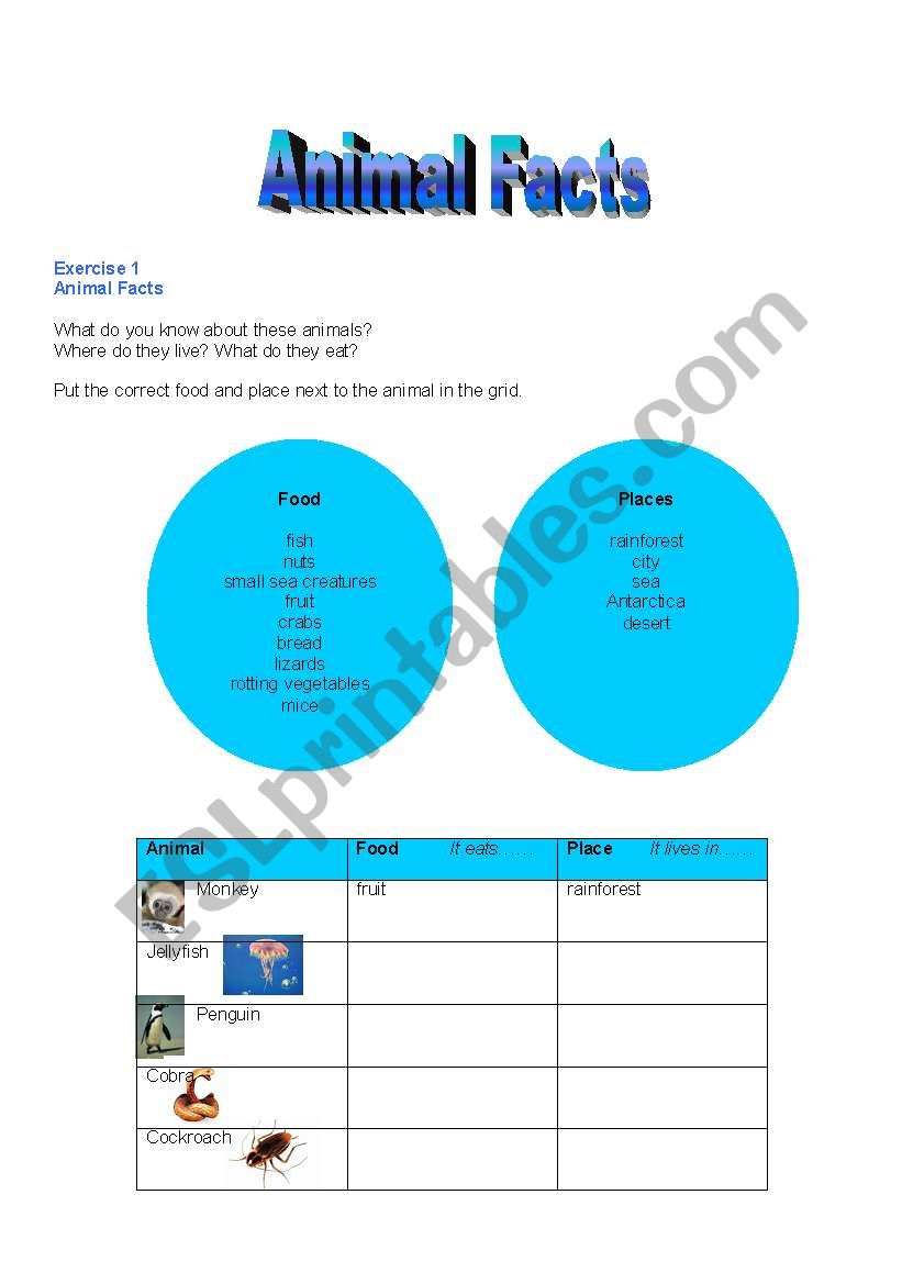 ANIMAL FACTS worksheet