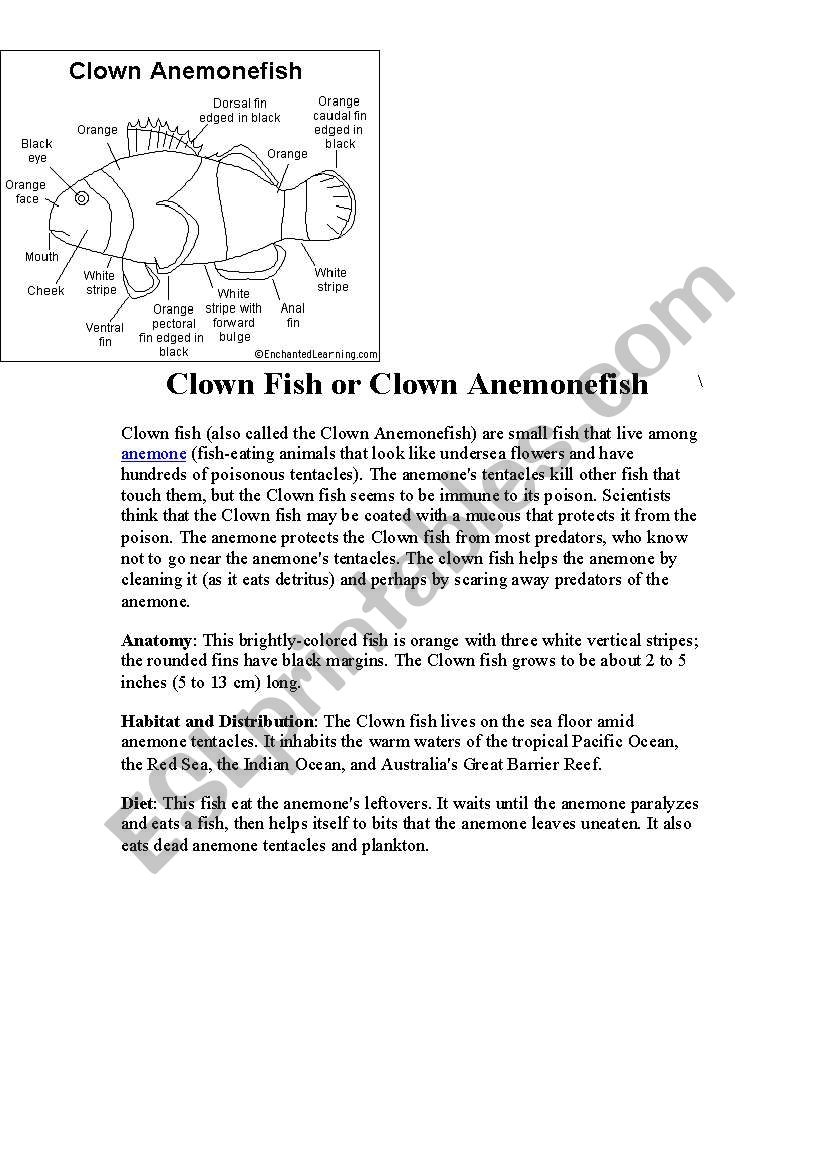 Finding Nemo worksheet