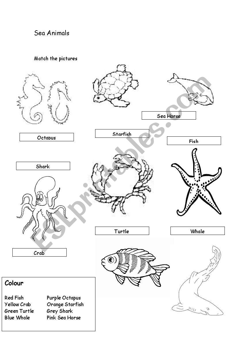 Sea Animals worksheet