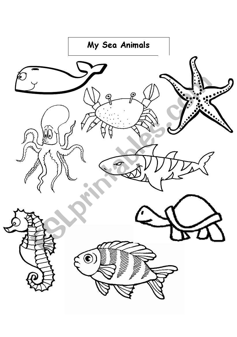 Sea Animals worksheet