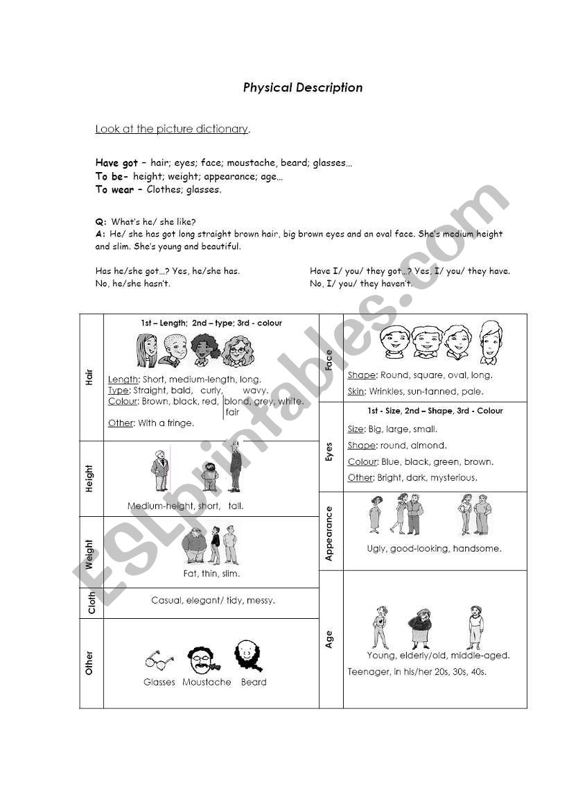 Physical Description worksheet