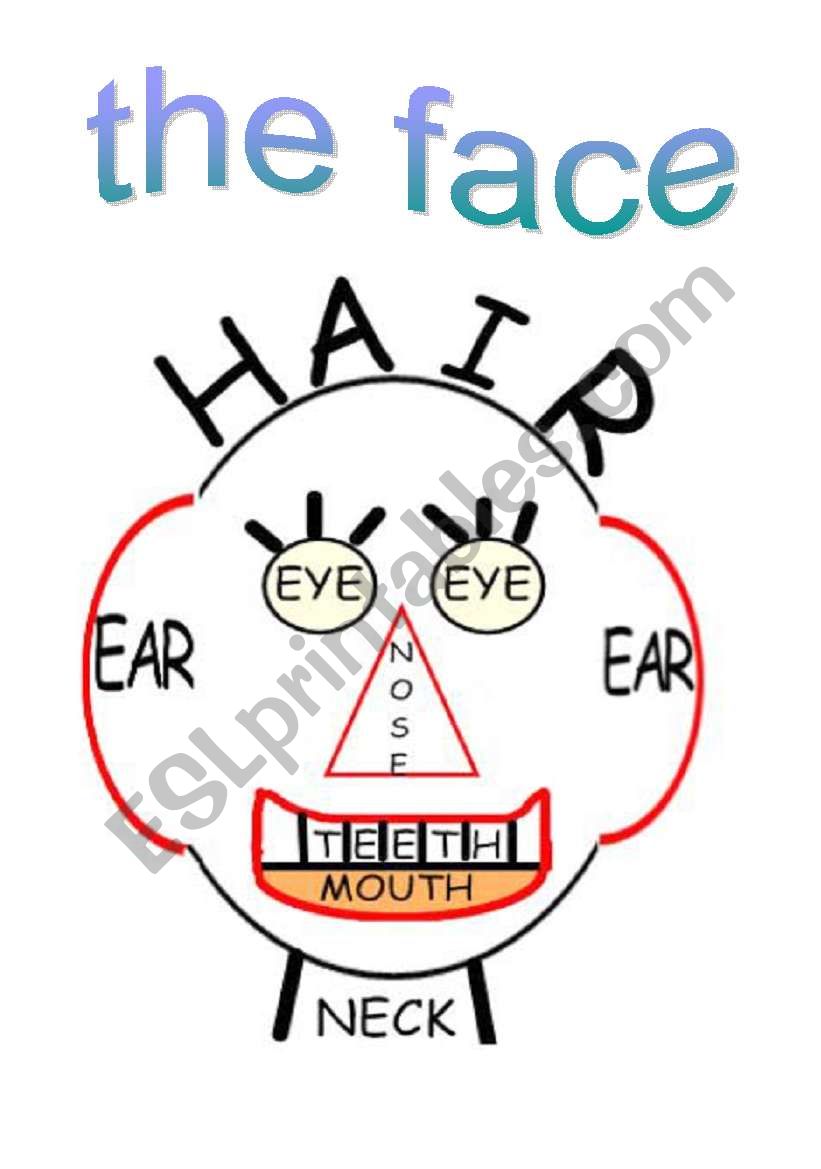 The face worksheet