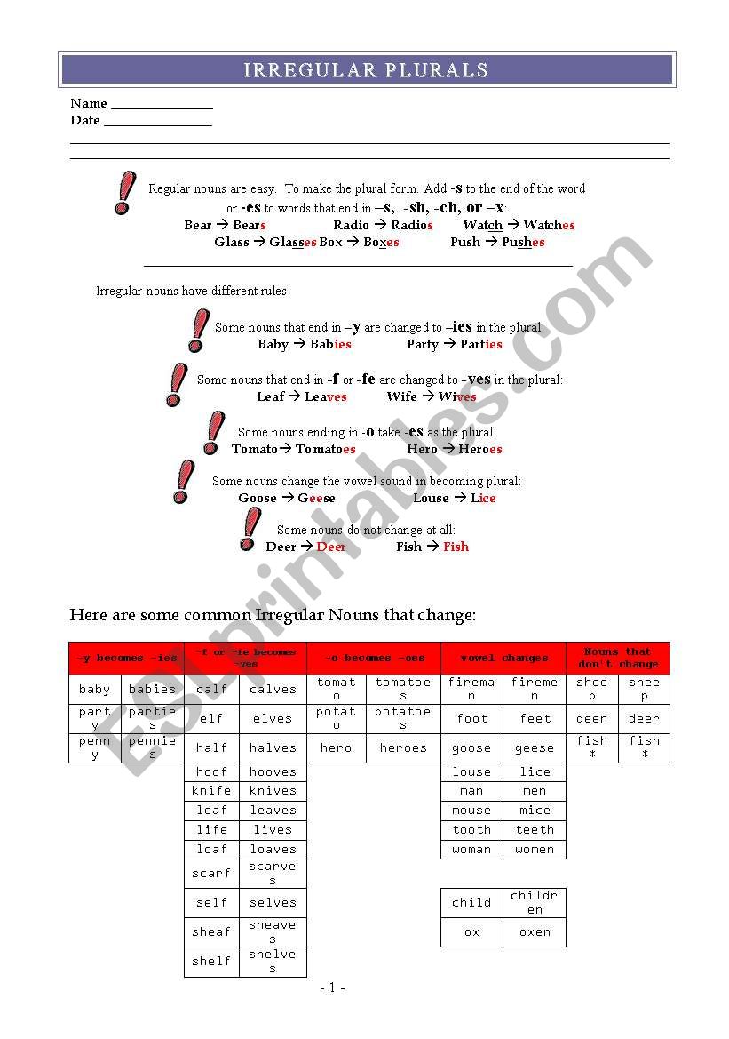 Irregular Plurals worksheet