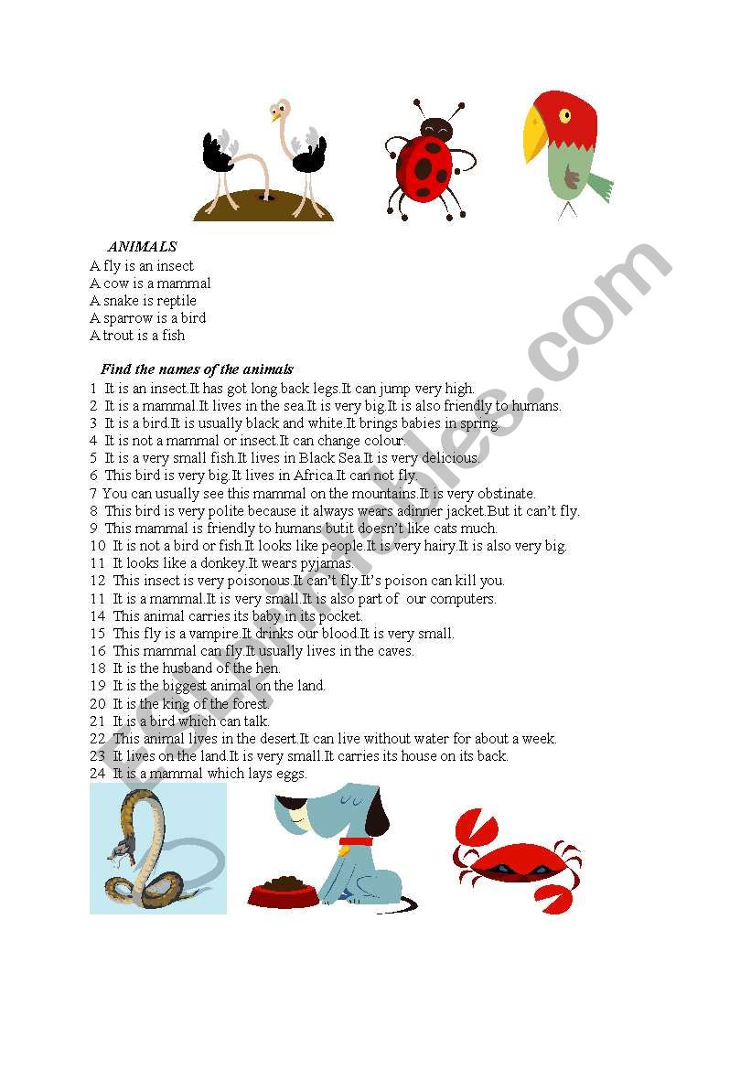 ANIMALS worksheet