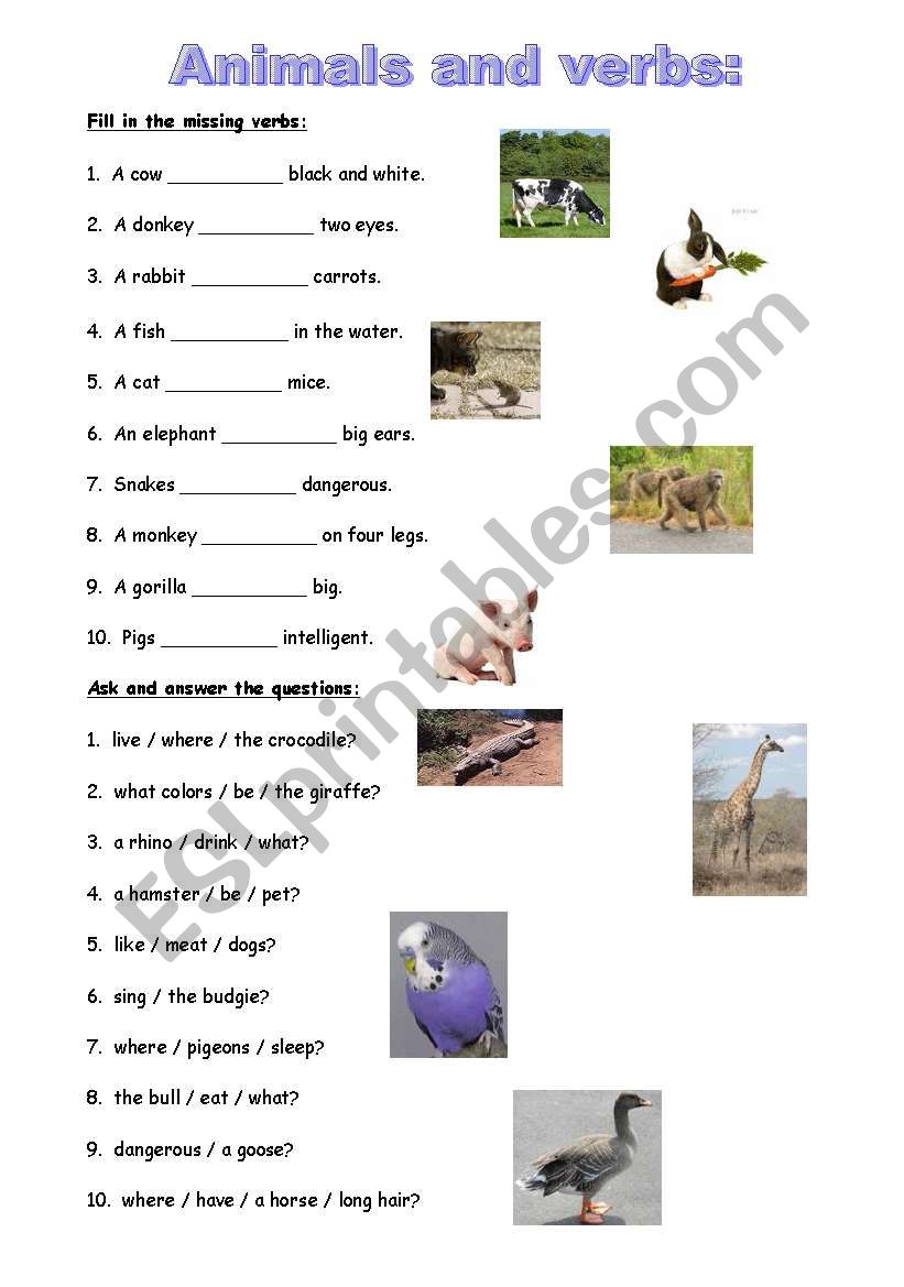 Animals and verbs worksheet