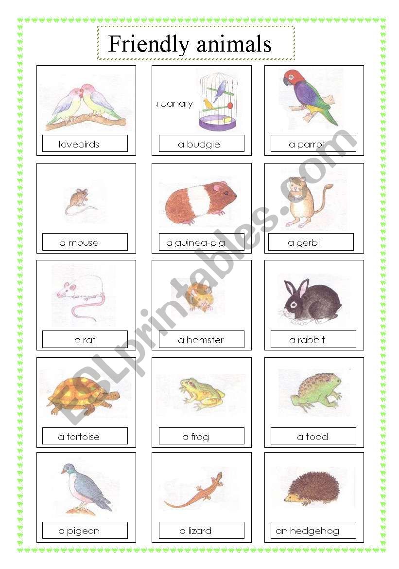 friendly animals voc (2sheets)