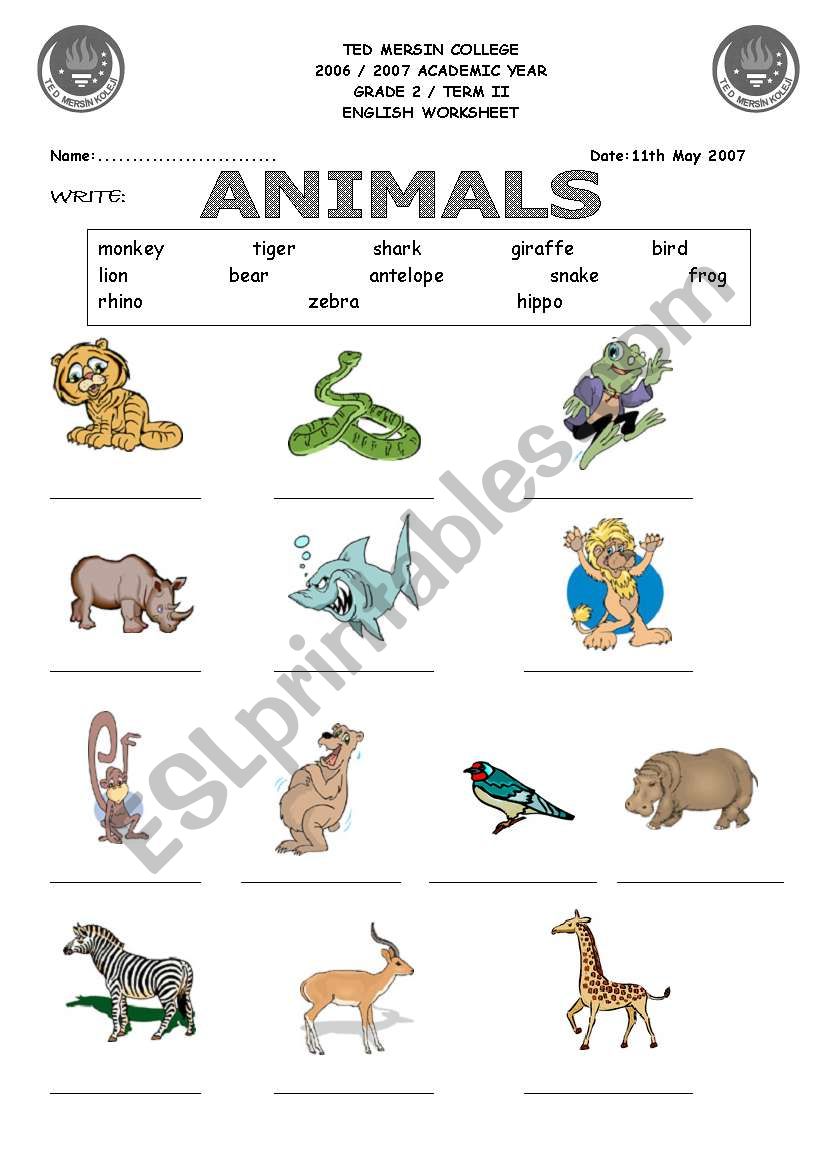 animals worksheet